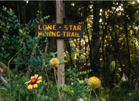 167-B Winchester Road Huntsville TX 77340