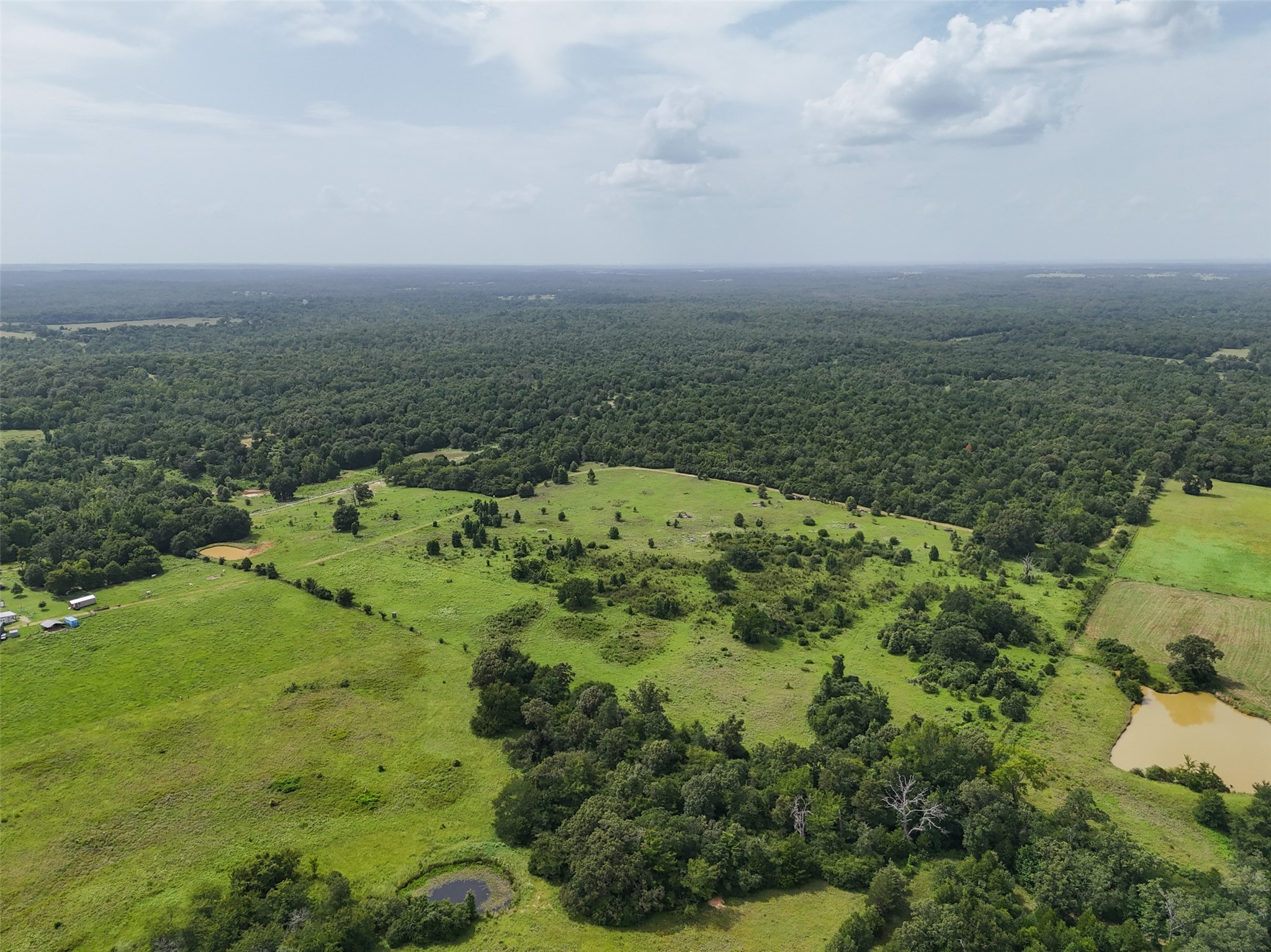 0 Private Road 2026 Tracts 1-3 Buffalo TX 75831