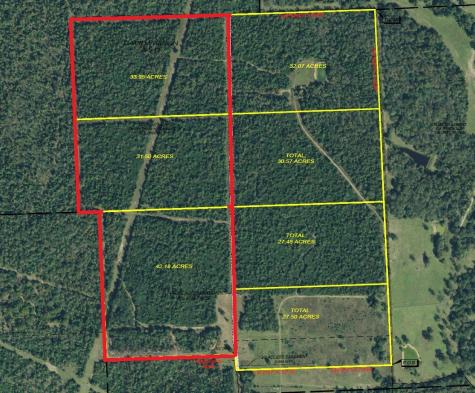 0 Private Road 2026 Tracts 1-3 Buffalo TX 75831