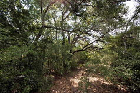 710 County Road 211a Hallettsville TX 77964