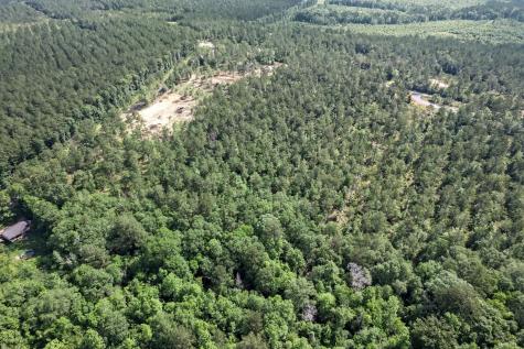 244 County Road 4455 Hillister TX 77624