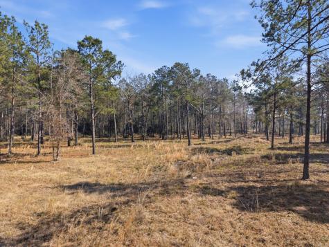 8576 Us- Highway 190 W Livingston TX 77351