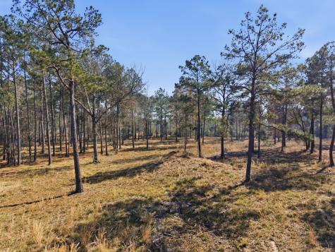 8576 Us- Highway 190 W Livingston TX 77351
