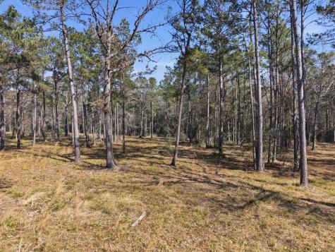 8576 Us- Highway 190 W Livingston TX 77351