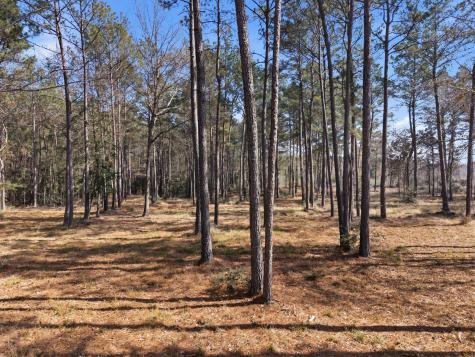 8576 Us- Highway 190 W Livingston TX 77351
