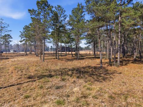 8576 Us- Highway 190 W Livingston TX 77351
