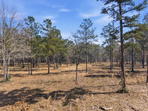 8576 Us- Highway 190 W Livingston TX 77351
