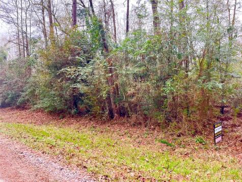 Tbd Pine Valley Drive Shepherd TX 77371