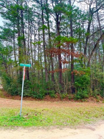 Tbd Pine Valley Drive Shepherd TX 77371