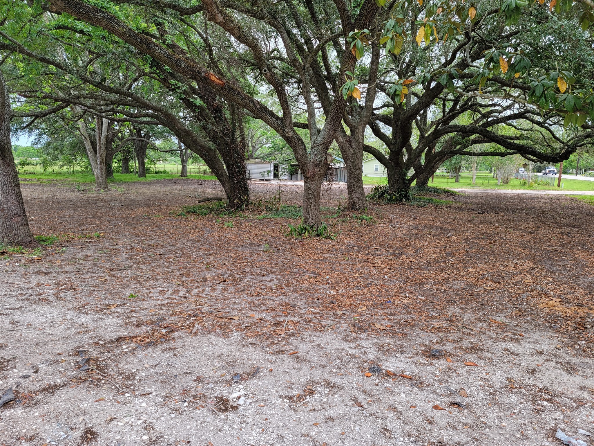15914 County Road 191 Alvin TX 77511