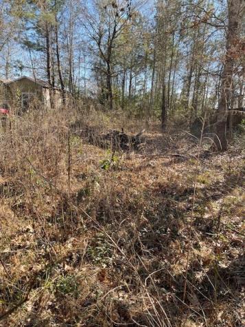 2276 County Road 3405 Drive Cleveland TX 77327
