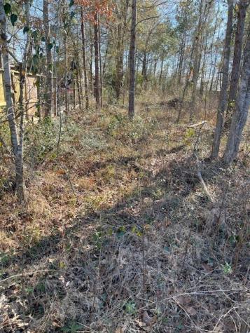 2276 County Road 3405 Drive Cleveland TX 77327