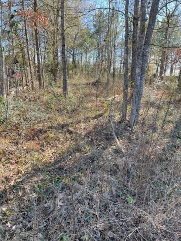 2276 County Road 3405 Drive Cleveland TX 77327