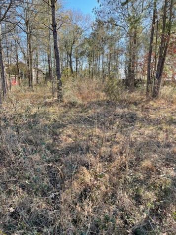 2276 County Road 3405 Drive Cleveland TX 77327