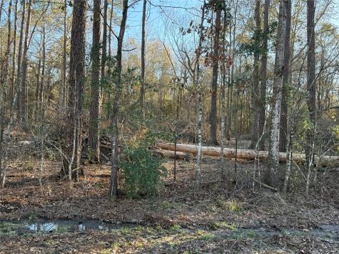 0 County Road 308 Cleveland TX 77327