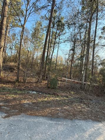 0 County Road 308 Cleveland TX 77327