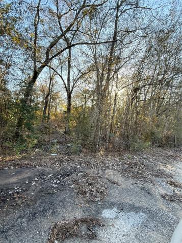 0 County Road 308 Cleveland TX 77327