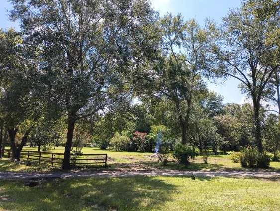 11511 Bexhill Drive Houston TX 77065
