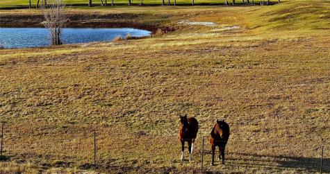 3283-30 Fm 2562 Road Anderson TX 77830
