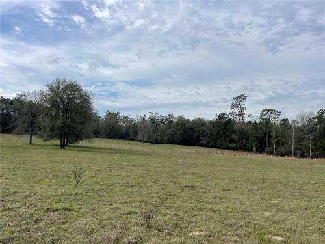 0000 County Road 1205 Hillister TX 77624