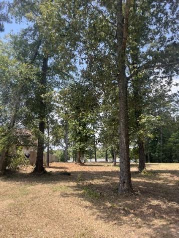 28435 Mendecino Glen Lane Houston TX 77336
