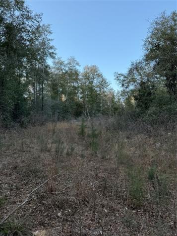 2511 County Road 4280 Woodville TX 75979