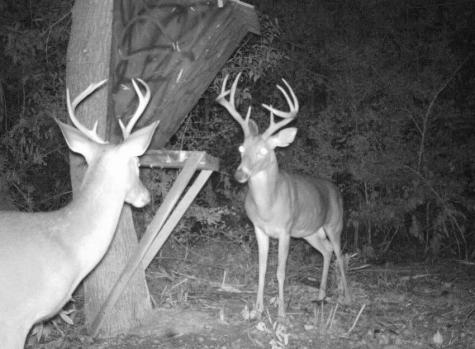 2511 County Road 4280 Woodville TX 75979