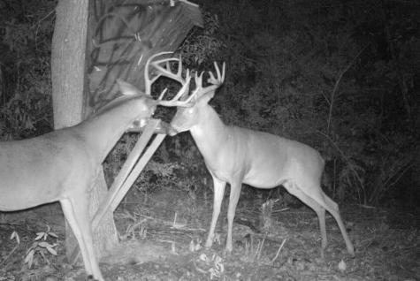 2511 County Road 4280 Woodville TX 75979