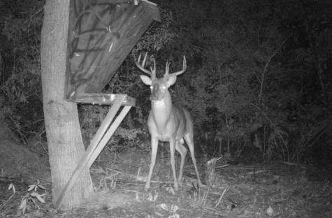 2511 County Road 4280 Woodville TX 75979