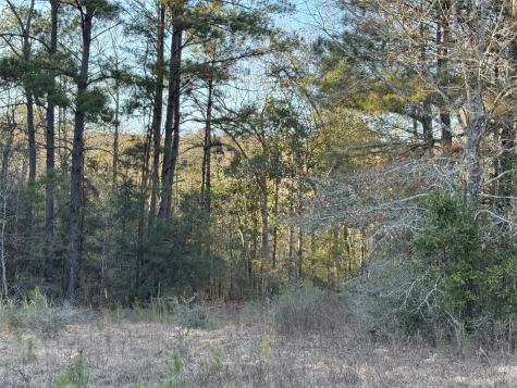 2511 County Road 4280 Woodville TX 75979