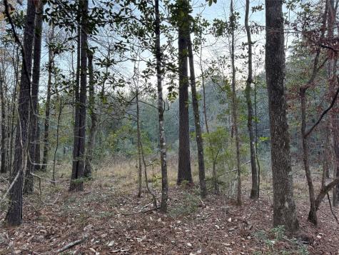 2511 County Road 4280 Woodville TX 75979