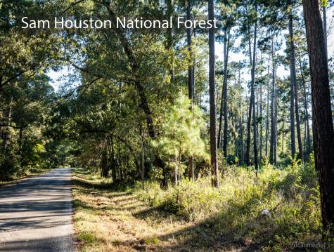 5-26-12 Inscription Lane Huntsville TX 77340