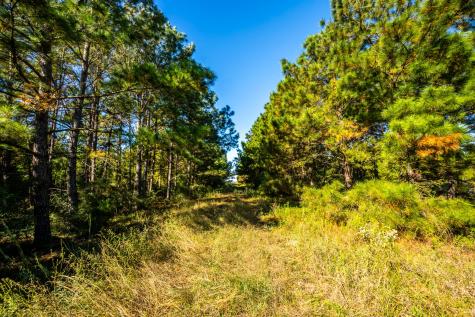 South Main Street S Main Anahuac TX 77514
