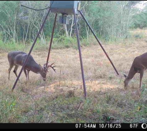 0 County Road 325 Louise TX 77455