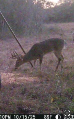 0 County Road 325 Louise TX 77455