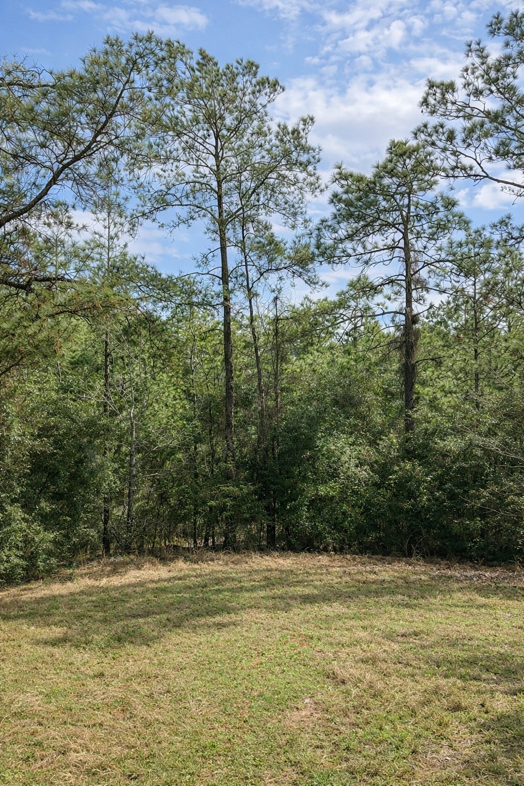 Tbd 123 Palmer Drive Brookeland TX 75931
