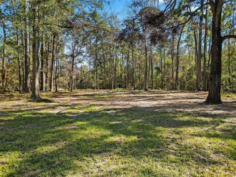 15237 Forest Lane Conroe TX 77306