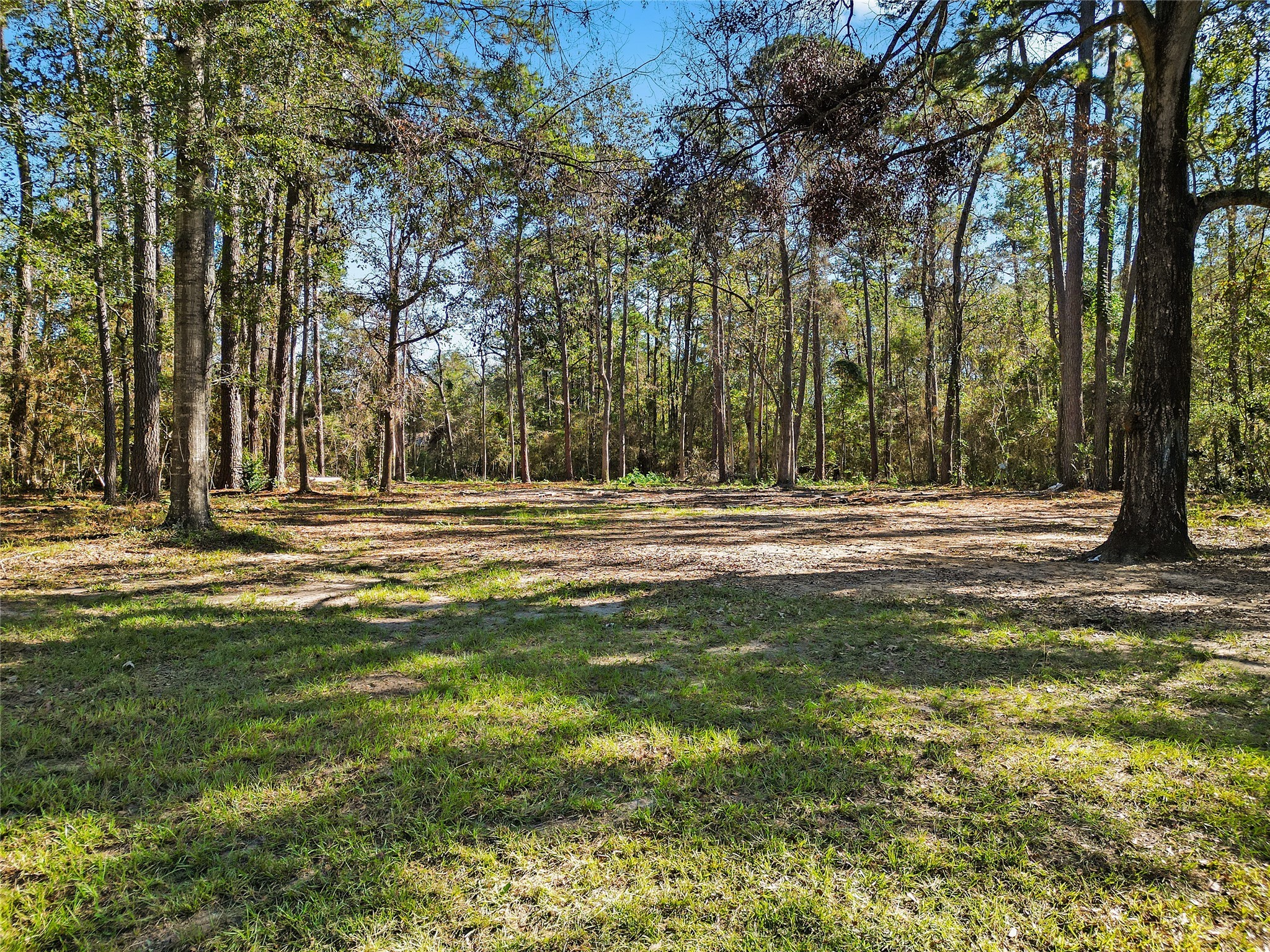 15237 Forest Lane Conroe TX 77306