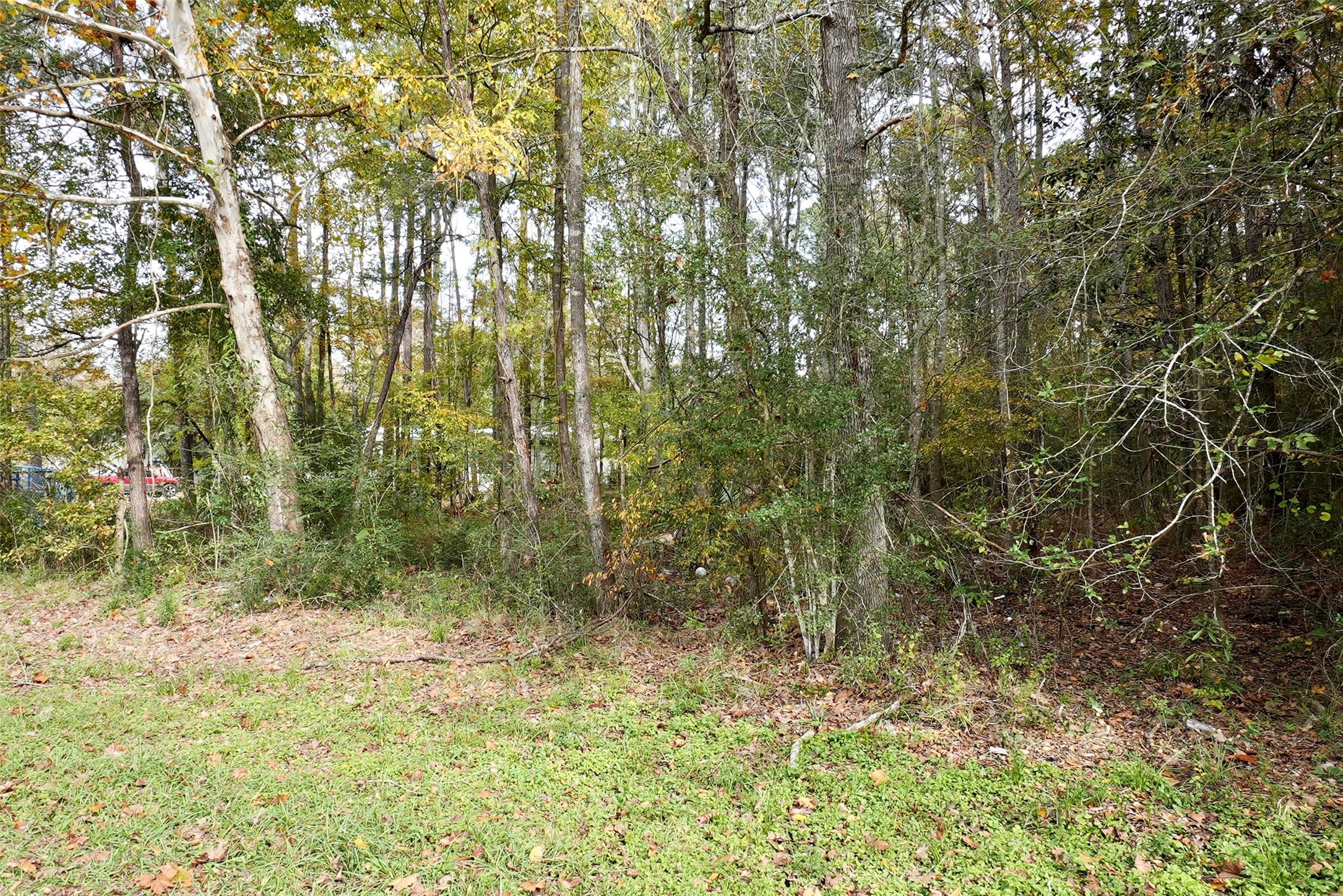 133 County Road 3294 Cleveland TX 77327