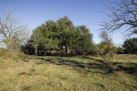 Tbd Mockingbird Road Brenham TX 77833