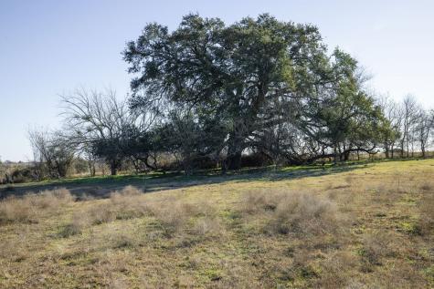 Tbd Mockingbird Road Brenham TX 77833