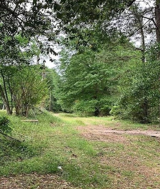 73 Dogwood Lane Houston TX 77365