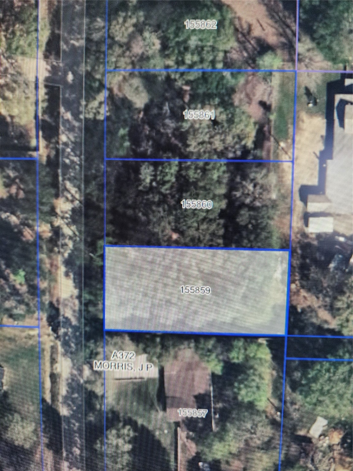 33010 Octavia Drive Magnolia TX 77354