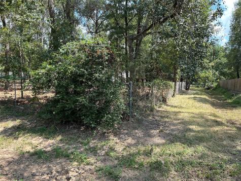 33010 Octavia Drive Magnolia TX 77354