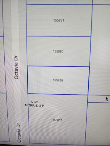 33010 Octavia Drive Magnolia TX 77354
