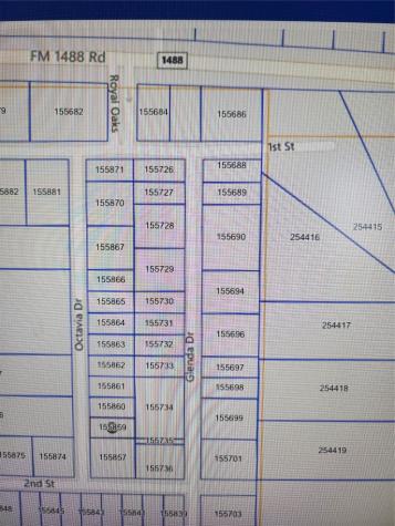 33010 Octavia Drive Magnolia TX 77354