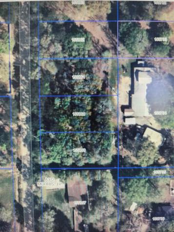 33010 Octavia Drive Magnolia TX 77354