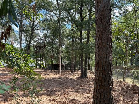33010 Octavia Drive Magnolia TX 77354