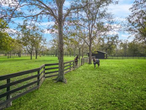 32903 Southern Manors Drive Fulshear TX 77441