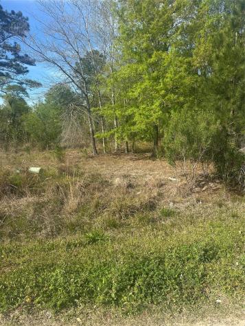 867 County Road 3415 Cleveland TX 77327